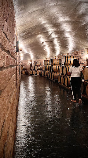 Vinhos do Italiano - Caminho do Vinho