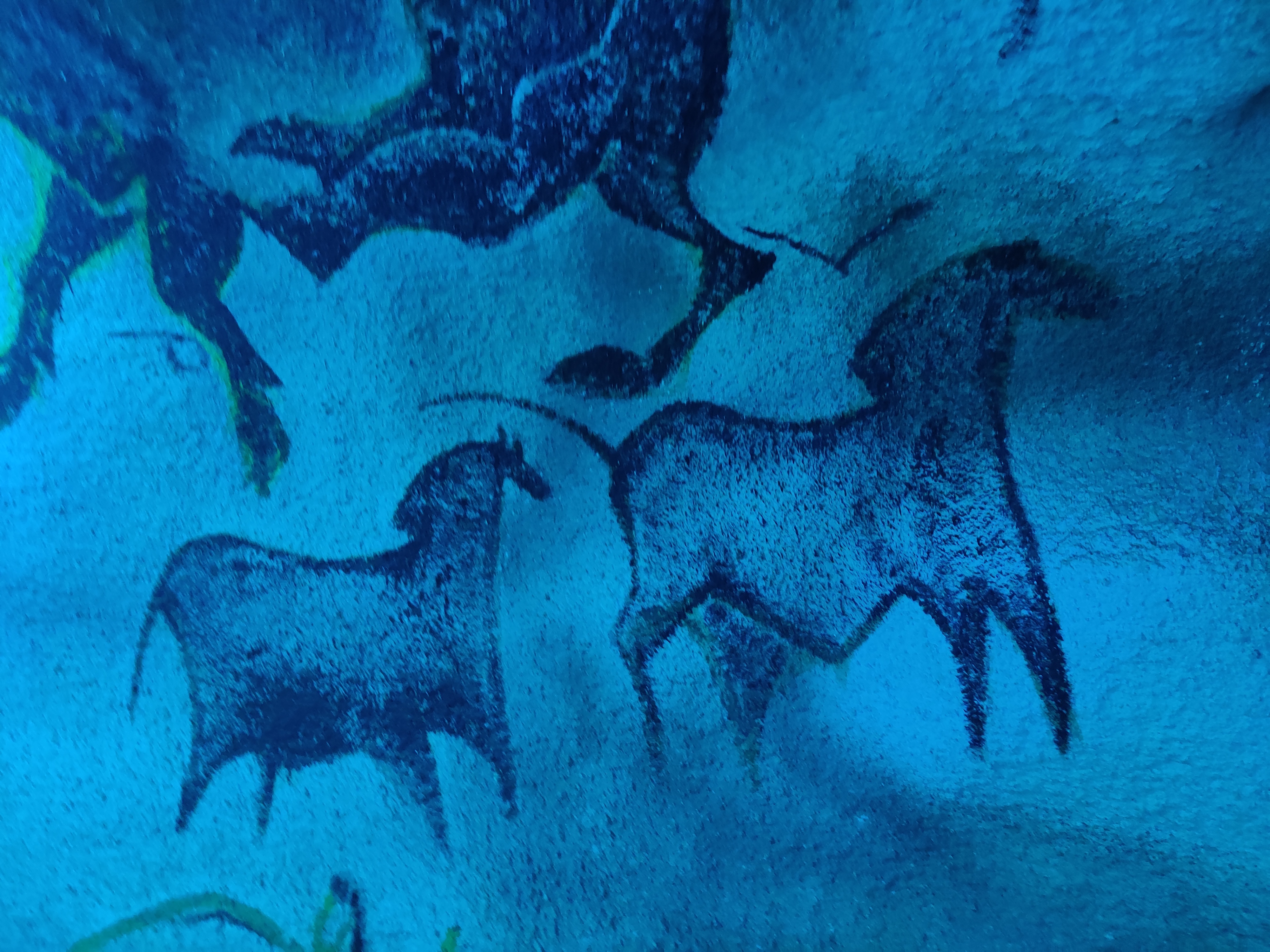 Photo n° 4 de l'avis de Sandrine.i fait le 27/08/2021 à 20:01