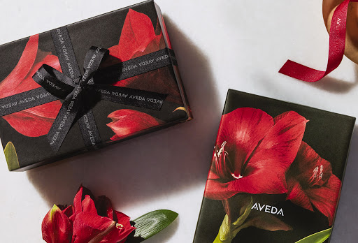 Spa «Sanctuary Salonspa», reviews and photos, 5615 Manitou Rd, Excelsior, MN 55331, USA