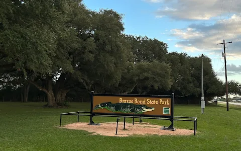 Brazos Bend State Park image