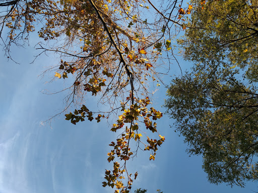 Community Center «Trails Community Center», reviews and photos, 1910 Spring Gate Ln, Las Vegas, NV 89134, USA