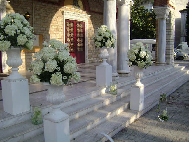 Απόλλωνος 16, Τρίκαλα 421 00