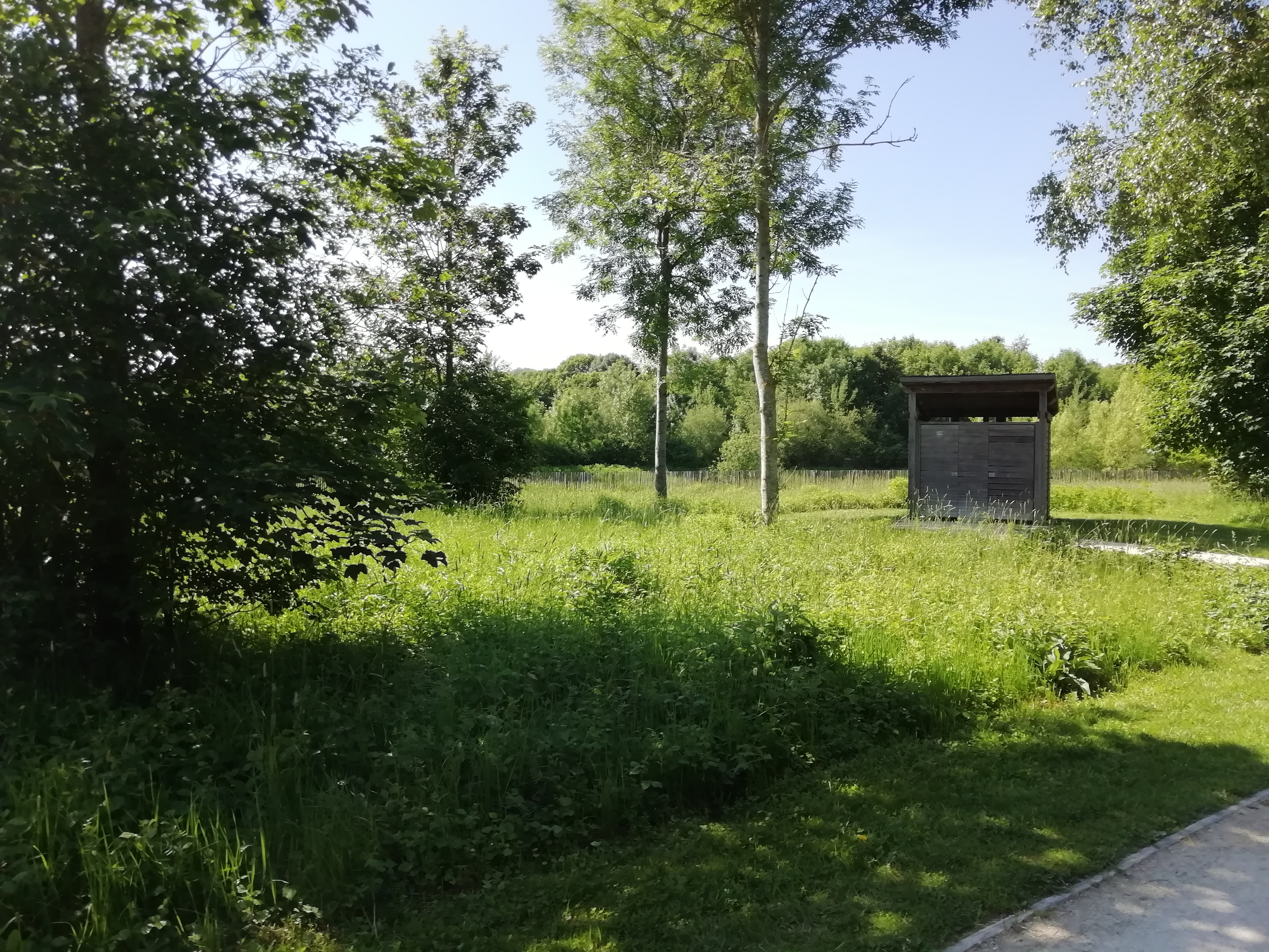 Photo n° 5 de l'avis de dada.r fait le 01/06/2019 à 11:10