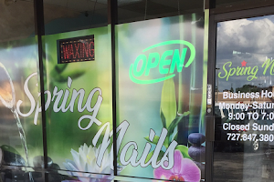 Spring Nails and Spa image