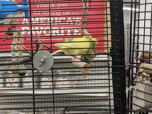 Hardware Store «Acton Ace Hardware», reviews and photos, 210 Main St, Acton, MA 01720, USA