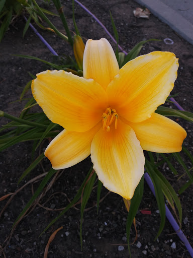 Pet Supply Store «PetSmart», reviews and photos, 1530 Froom Ranch Way, San Luis Obispo, CA 93405, USA