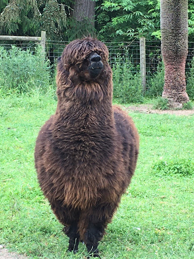 Winery «Comforts of Whidbey», reviews and photos, 5219 View Rd, Langley, WA 98260, USA