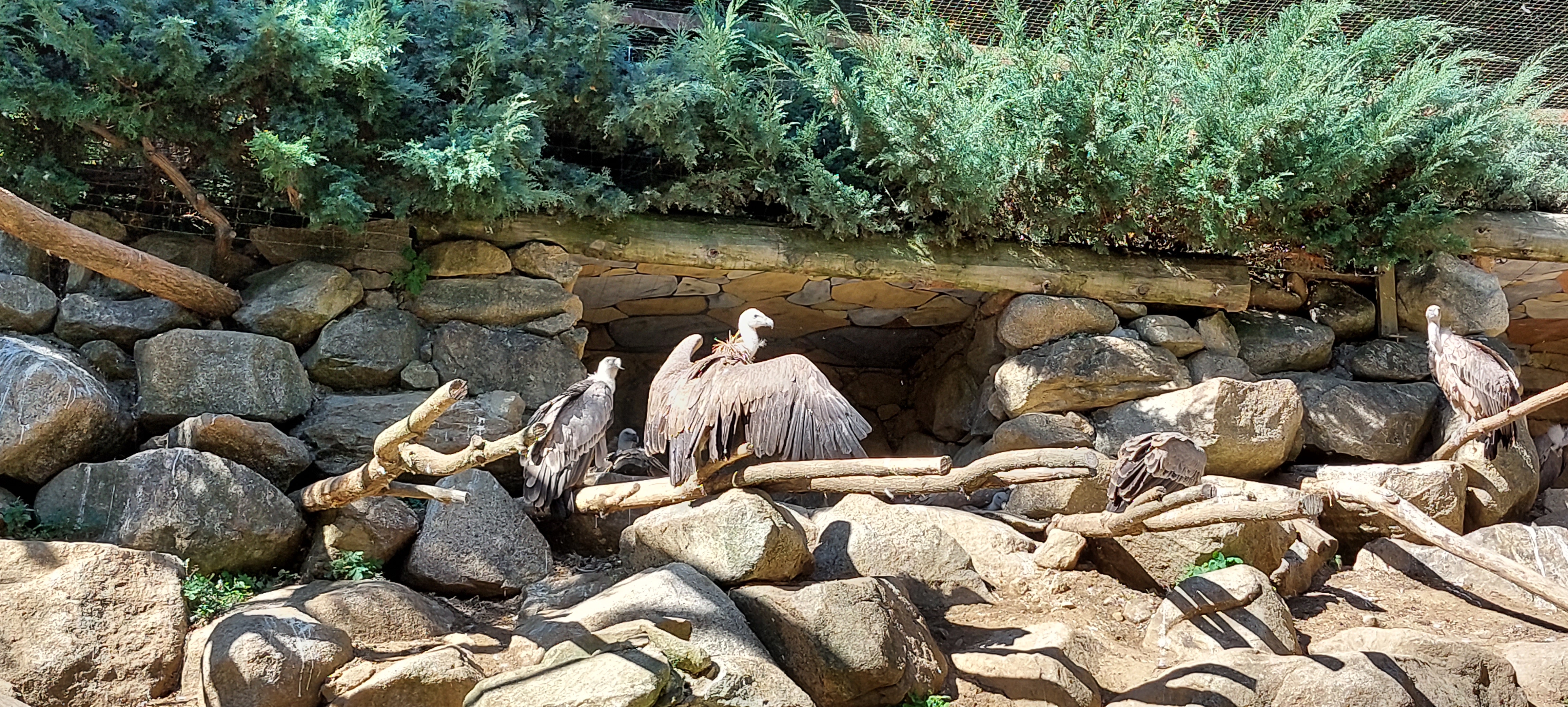 Photo n° 9 de l'avis de nathalie.E fait le 08/10/2023 à 08:49