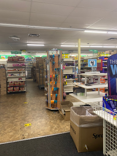 Dollar Store «Dollar Tree», reviews and photos, 13790 W State Rd 84, Davie, FL 33325, USA