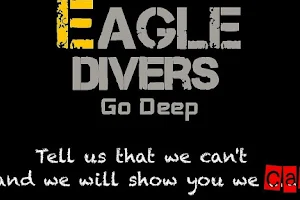 EAGLE DIVERS image