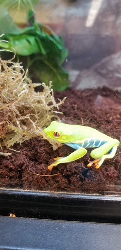 Pet Supply Store «Petco Animal Supplies», reviews and photos, 4915 E 41st St C, Tulsa, OK 74135, USA