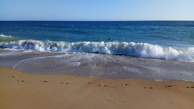 Σχόλια και κριτικές για το KOA beach bar