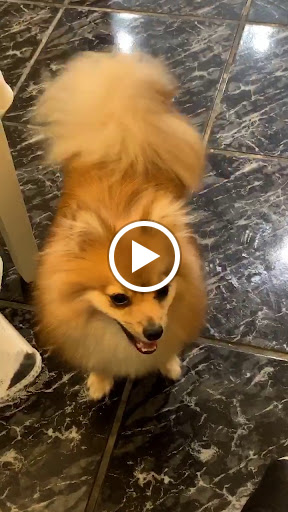 Gym «LA Fitness», reviews and photos, 20505 S Dixie Hwy, Miami, FL 33189, USA