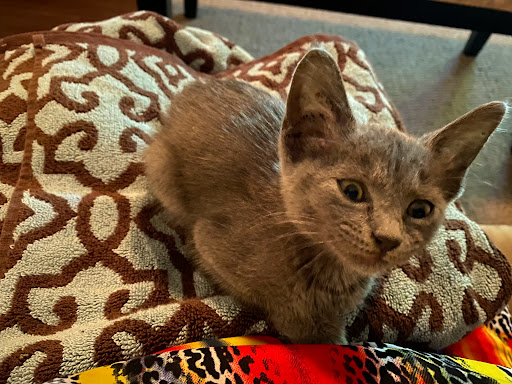 6350 AL-69, Tuscaloosa, AL 35405, USA