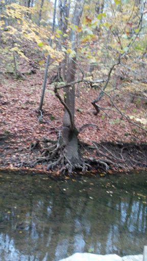 Golf Course «Cherokee Golf Course», reviews and photos, 2501 Alexander Rd, Louisville, KY 40204, USA