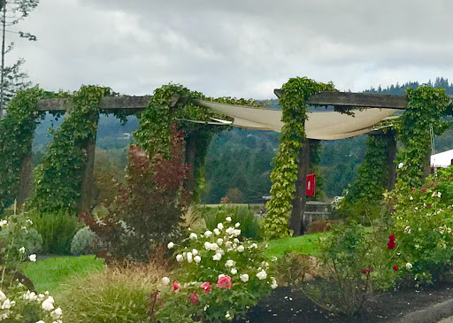 Winery «REX HILL», reviews and photos, 30835 OR-99W, Newberg, OR 97132, USA