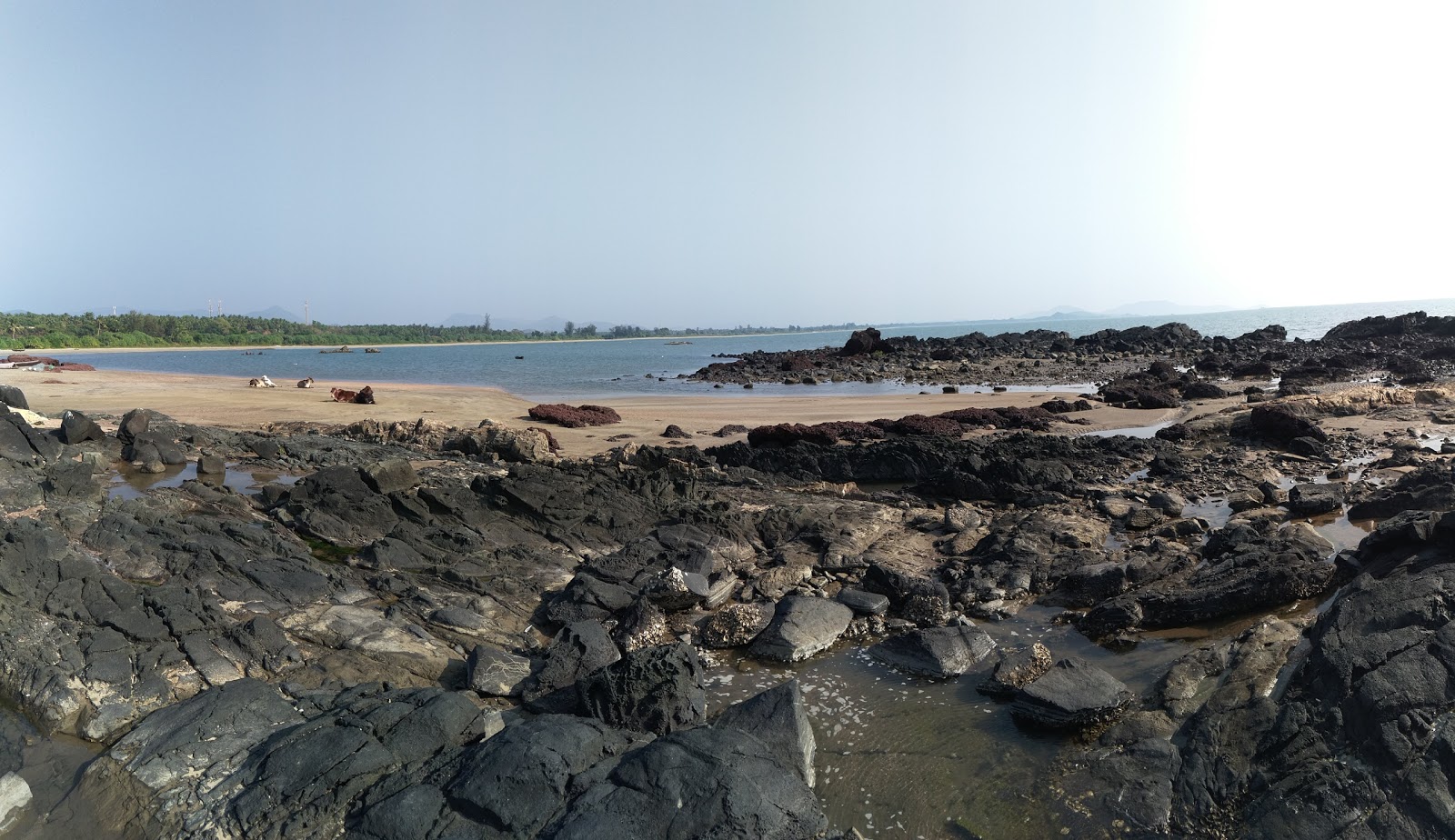 Foto von Belekeri Beach mit sehr sauber Sauberkeitsgrad