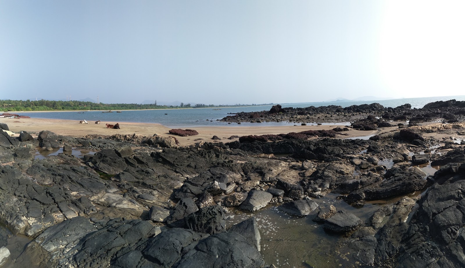 Photo de Belekeri Beach zone sauvage