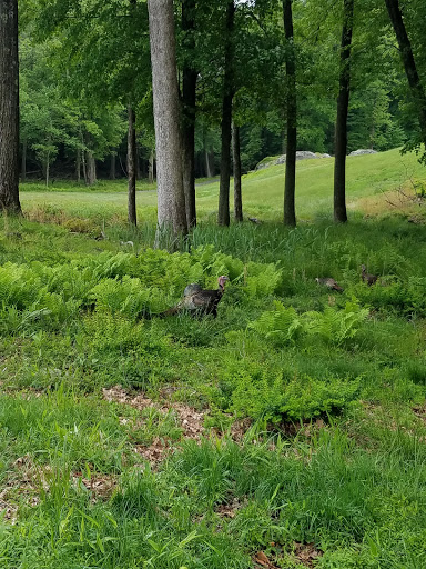 Golf Course «The Course at Yale», reviews and photos, 200 Conrad Dr, New Haven, CT 06515, USA