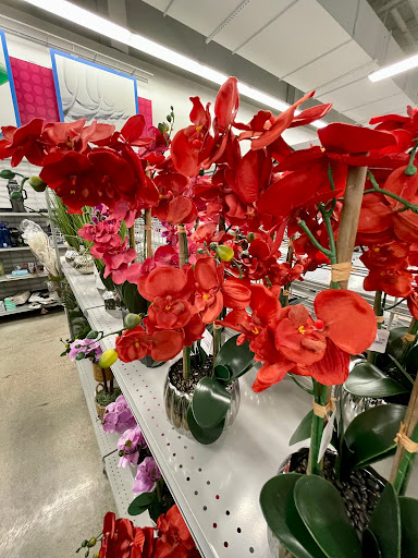 Clothing Store «Burlington Coat Factory», reviews and photos, 290 Turnpike Rd #10, Westborough, MA 01581, USA