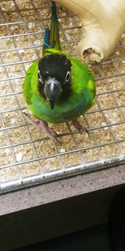 Pet Store «Pets World», reviews and photos, 147 Bridge St, Weymouth, MA 02191, USA