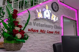 Oka Veterinary Clinic Bahrain عيادات أوكا البيطرية البحرين image