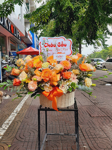 Shop hoa tươi lan folwers