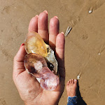 Photo n°1 de l'avis de Cris.h fait le 13/09/2022 à 08:21 sur le  Restaurante - Bar Praia da Riviera à Costa da Caparica