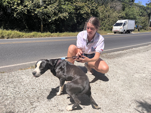 Federación Canina de Costa Rica