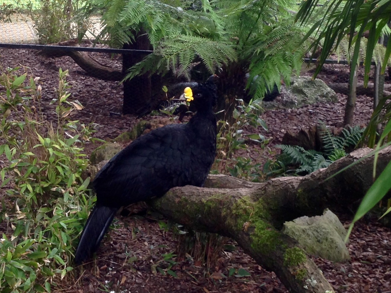 Photo n° 8 de l'avis de John.a fait le 10/06/2018 à 18:52