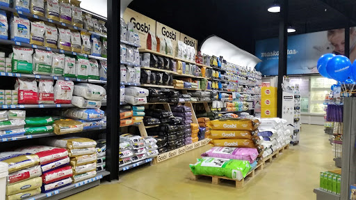 Maskokotas - Vilanova i la Geltrú