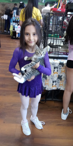 Pet Supply Store «Pet Valu», reviews and photos, 411 Valley Brook Ave, Lyndhurst, NJ 07071, USA