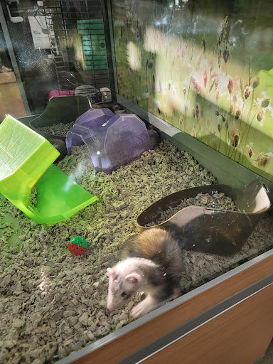 Pet Supply Store «Petco Animal Supplies», reviews and photos, 1011 University Blvd #100, Suffolk, VA 23435, USA