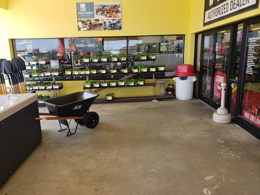 Ace Hardware