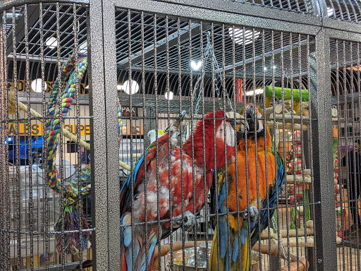 Pet Store «Exotic Tropical Petworld LLC.», reviews and photos, 1716 W Hackberry Ave, McAllen, TX 78501, USA
