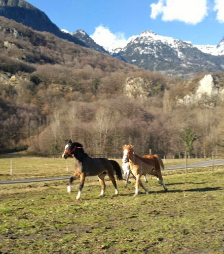Centre équestre Savoie Maurienne Equitation EARL Saint-Rémy-de-Maurienne