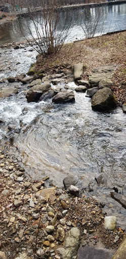 Tourist Attraction «Allatoona Lake Visitor Center & Museum», reviews and photos, 1138 GA-20 Spur, Cartersville, GA 30121, USA