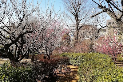 羽根木公園丘の上広場