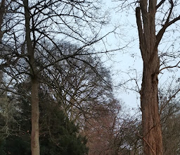 Vegesacker Stadtgarten photo