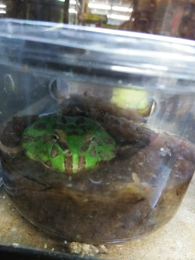 Pet Supply Store «Pet Finatics», reviews and photos, 3150 Navarre Ave, Oregon, OH 43616, USA