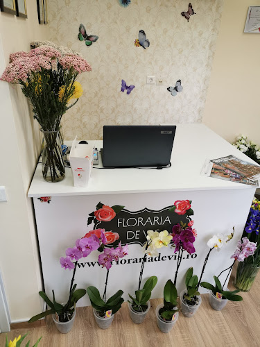 Opinii despre Floraria de Vis Florarie Online Bucuresti în <nil> - Florărie