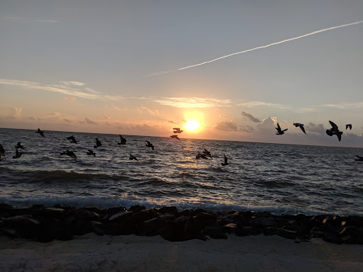 Amphitheater «Cole Park Amphitheater», reviews and photos, 1526 Ocean Dr, Corpus Christi, TX 78404, USA