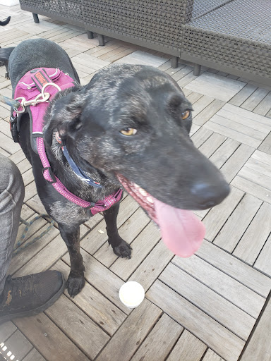 Stadium «SunTrust Park», reviews and photos, 755 Battery Avenue Southeast, Atlanta, GA 30339, USA