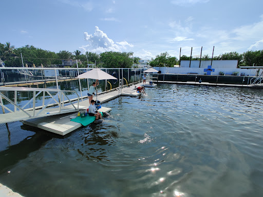 Recreation «Dolphins Plus Oceanside», reviews and photos, 31 Corinne Pl, Key Largo, FL 33037, USA