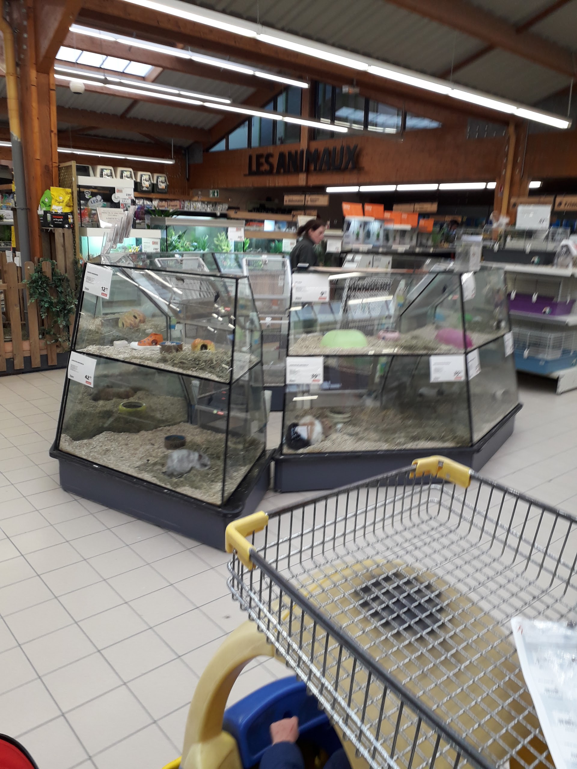 Photo n° 2 de l'avis de Pauline.t fait le 15/01/2018 à 15:15