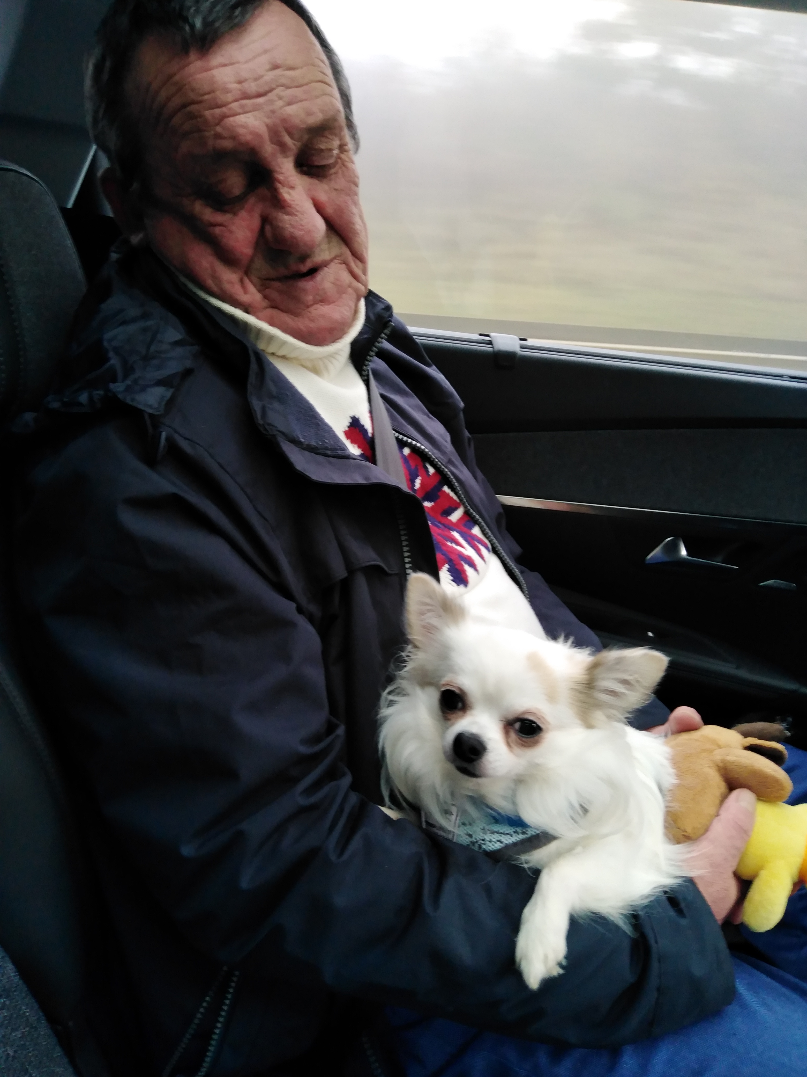 Photo n° 6 de l'avis de Laurence.h fait le 06/12/2019 à 18:47