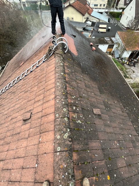 Photo n° 1 de l'avis de Séverine.e fait le 18/04/2022 à 16:32
