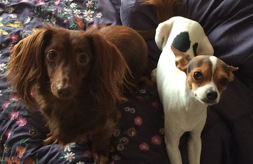 Car Repair and Maintenance «Midas», reviews and photos, 2701 Millwood Ave, Columbia, SC 29205, USA