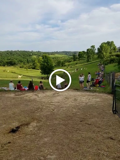 Boutique «Alpacas of the Heartland LLC», reviews and photos, 7016 County Rd 39, Fort Calhoun, NE 68023, USA