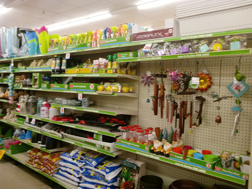 Dollar Store «FAMILY DOLLAR», reviews and photos, 17521 Kedzie Ave, Hazel Crest, IL 60429, USA